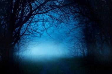 Esrarengiz fantezi silueti karanlık dalların gece doğası. Kara mistik korkunç çıplak gövdeler sonbahar ağaçlarının sisini çökertir. Mystic Road yolu mavi ay ışığı sisi. Sihirli gotik korku ormanı. Arka plan dumanı