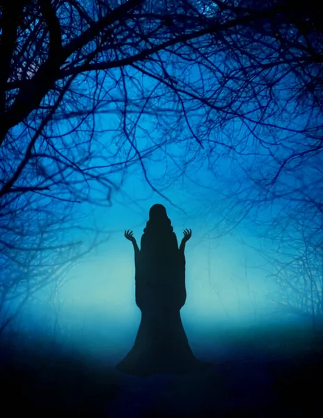 Mystiek mysterieus silhouet meisje. Feeënverhaal heks danst magische rituele dans. Mooie fee dame bidt achtergrond verbazingwekkende mistige nevel zwarte stammen betoverde bomen, helder blauw maanlicht — Stockfoto