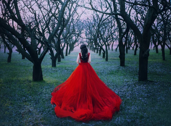 Mulher princesa andar desfrutar de outono floresta natureza de volta vista. Lady Witch Queen morena cabelo ondulado. Vermelho vintage luxo tule macio vestido magnífico trem longo. Primavera parque jardim preto nu troncos de árvore — Fotografia de Stock