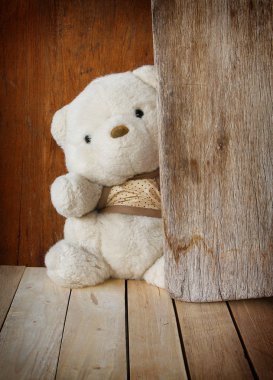 Sevimli ayıcık gizleme ahşap Kurulu tarafından.