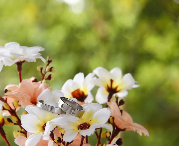 Pair Of Wedding Rings — Stock Photo, Image