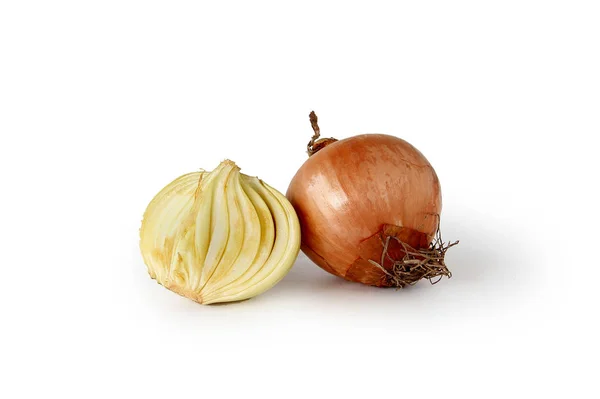 Onions Isolated on White Background. — Stock Photo, Image