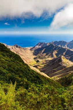 Tenerife adasının güzel manzara