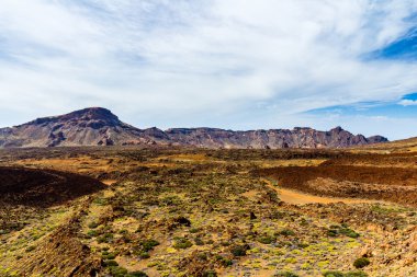 Teide Milli Park peyzaj