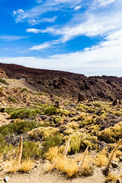 Teide National Park landscape — Stock Photo, Image