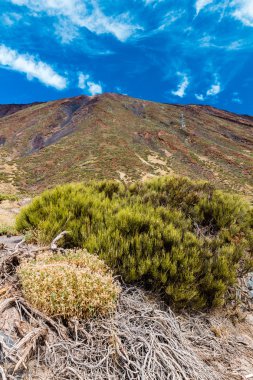 Teide Milli Parkı İspanya
