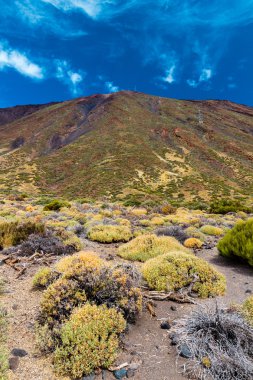 Teide Milli Parkı İspanya
