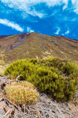 Teide Milli Park peyzaj