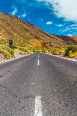 Yol Teide Milli Parkı'nda