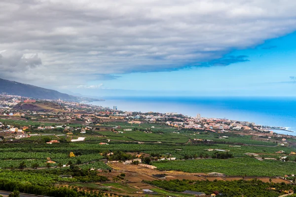 Vallée d'Orotava à Tenerife — Photo