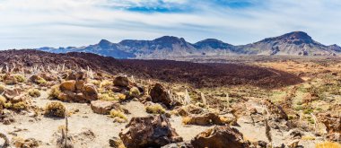 Teide Milli Park peyzaj
