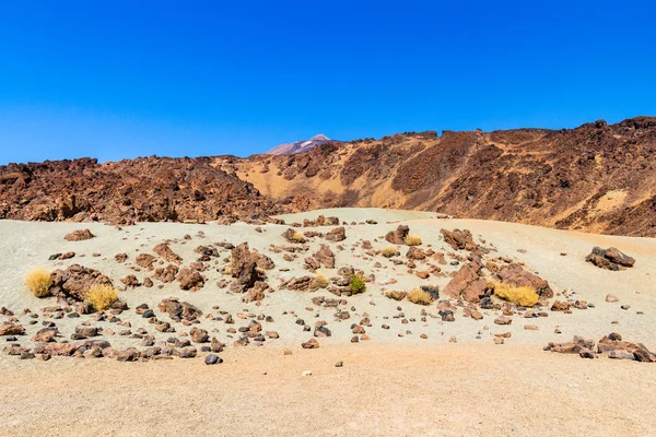 Teide National Park landscape — Stock Photo, Image