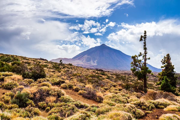 Pico del Teide Dağı yanardağ