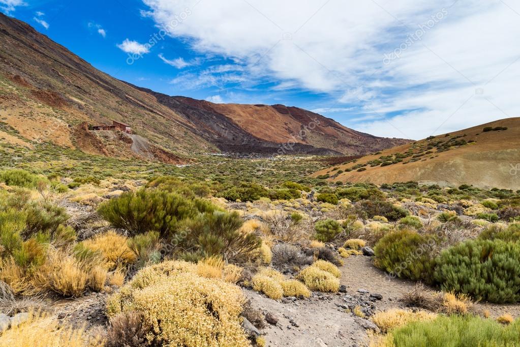 Teide National Park landscape