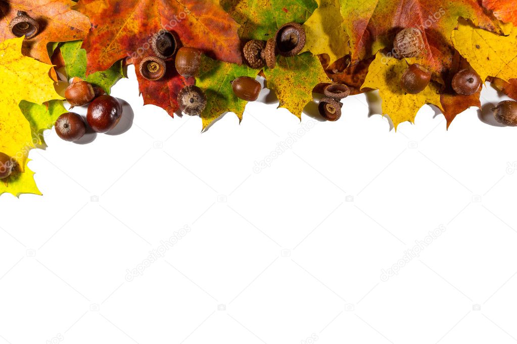 Autumn background with colored leaves