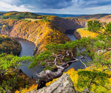 At nalı bend Vltava Nehri üzerinde