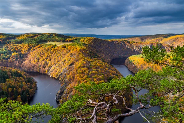 Curva de herradura en el río Moldava —  Fotos de Stock