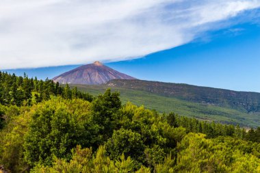 Teide Milli Park peyzaj