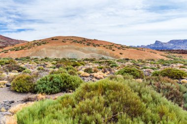 Teide Milli Park peyzaj