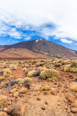Teide Milli Park peyzaj