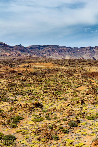 Teide National Park landscape — Stock Photo, Image