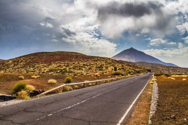 Yol Teide Milli Parkı'nda