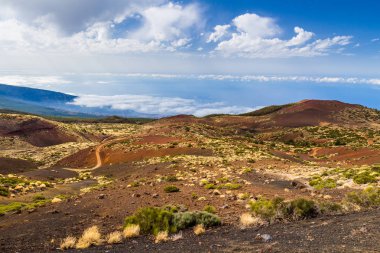 Teide Milli Park peyzaj