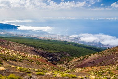 Teide Milli Park peyzaj