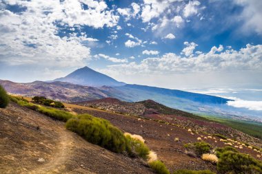 Teide Milli Park peyzaj