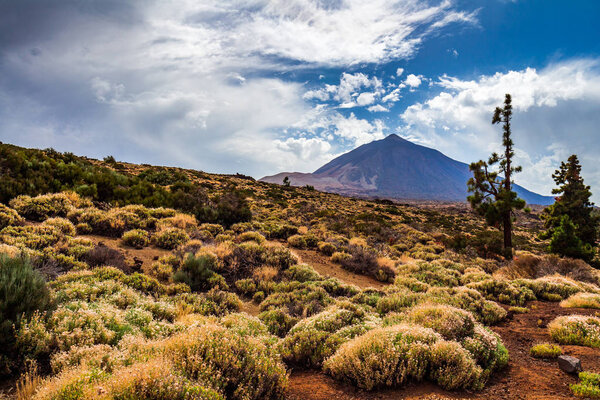 Пейзаж национального парка Тейде
