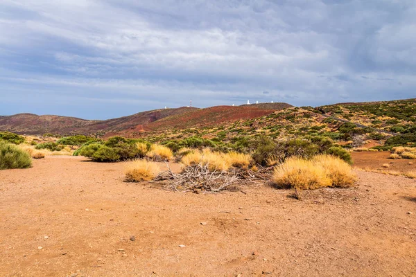 Teide National Park landscape — Stock Photo, Image