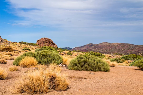 Teide National Park landscape — Stock Photo, Image