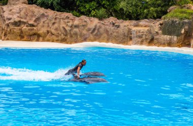 Yunuslar loro parkta göster