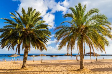 Görünümü güzel tropikal Beach