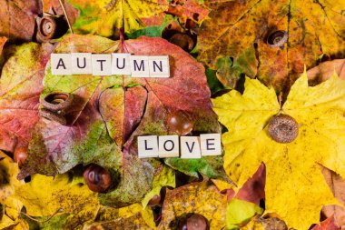 Sonbahar yaprakları deseni