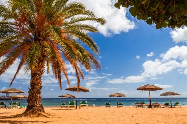 Görünümü güzel tropikal Beach