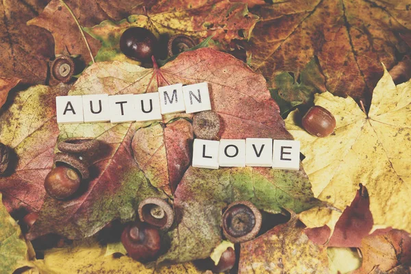 Herbstblättermuster — Stockfoto