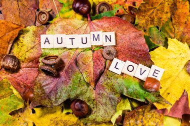 Sonbahar yaprakları deseni