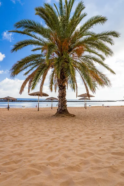 Вид на красивый тропический пляж — стоковое фото