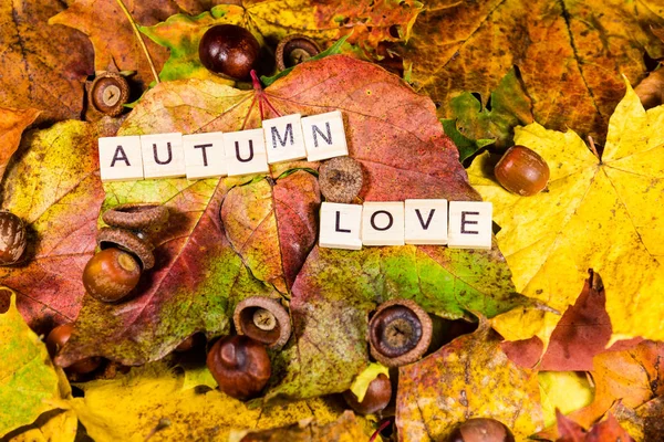Herbstblättermuster — Stockfoto