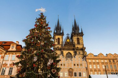 Prag 'da Noel ağacı