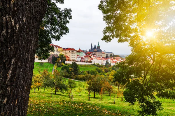 Blick auf die Altstadt und die Prager Burg — Stockfoto