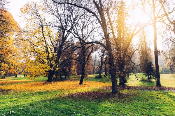 Beautiful autumn park — Stock Photo, Image