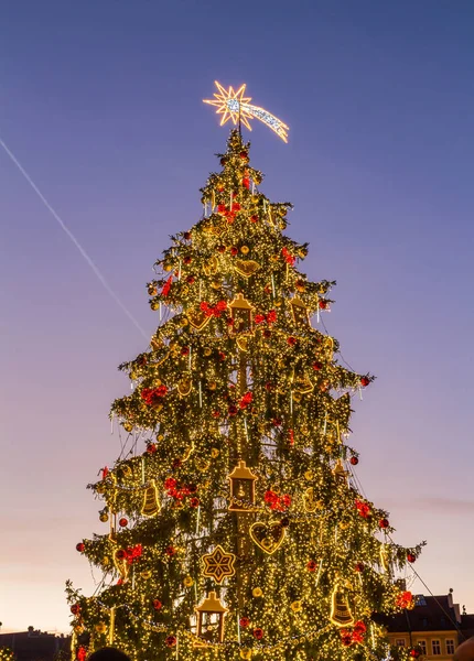 Christmas tree in prague at sunset — Stock Photo, Image