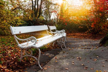 güzel sonbahar park