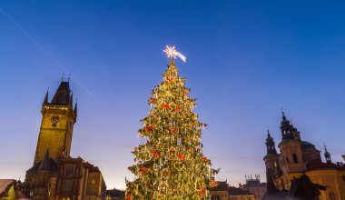 gün batımında Prag'da yılbaşı ağacı