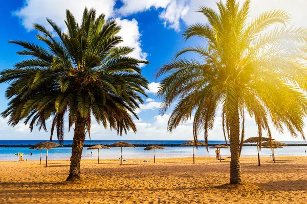 View of beautiful tropical beach — Stock Photo, Image