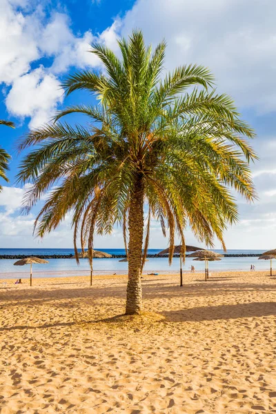 View of beautiful tropical beach — Stock Photo, Image