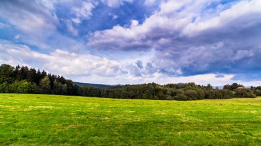 yeşil çayır ile Pastoral kırsal manzara