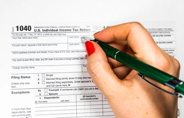 Declaração de imposto sobre o rendimento individual em branco — Fotografia de Stock